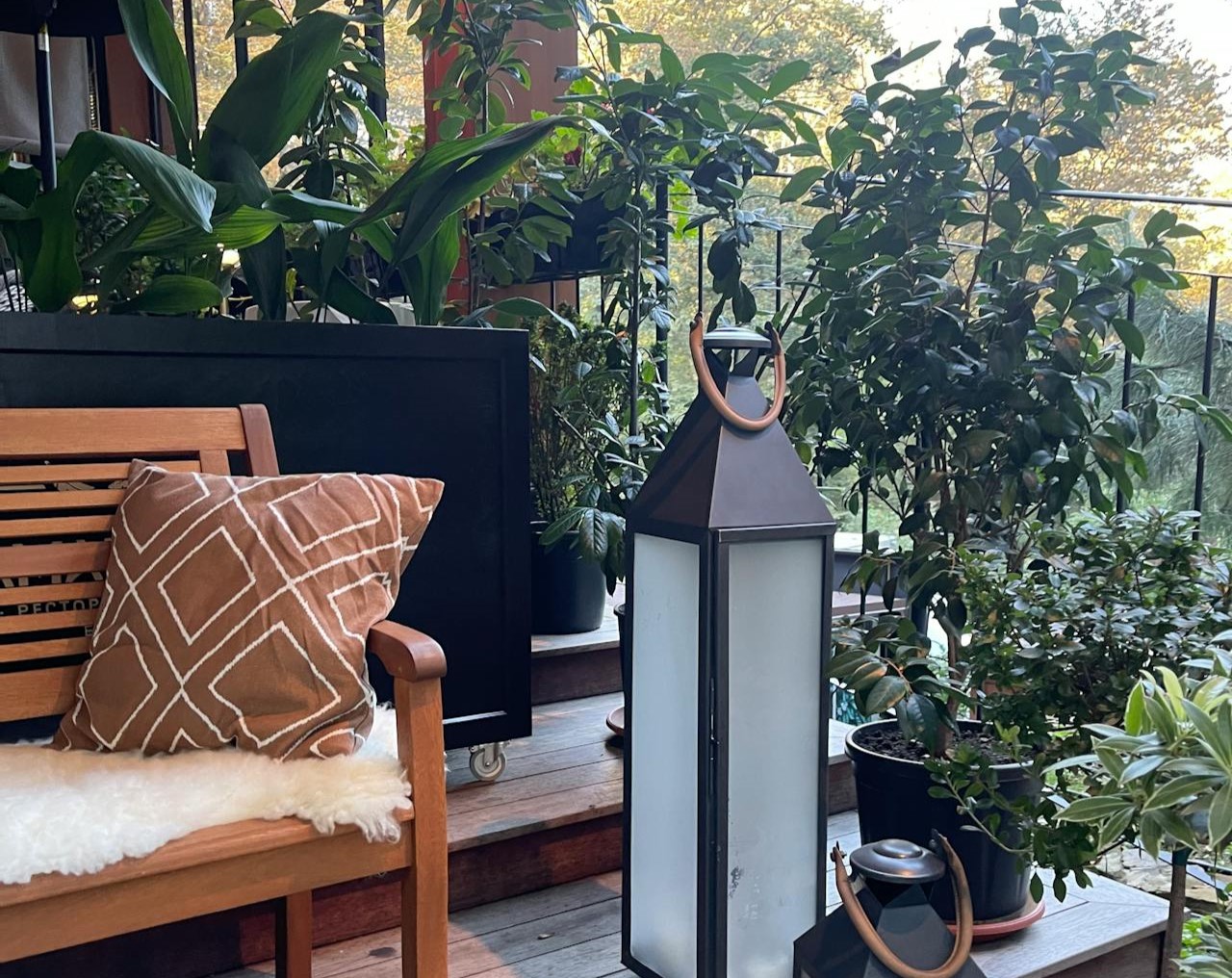 Petits jardins en ville : aménagez votre paradis à ciel ouvert