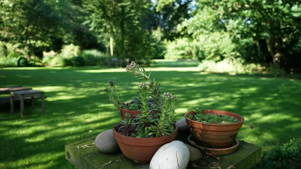amenagement jardin avec graminees — Aménagement jardin avec graminées : massifs, bordures et pots