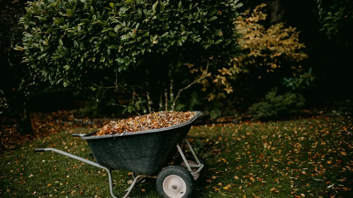feuille morte dans le jardin — Feuille morte dans le jardin : où la ramasser, où la garder