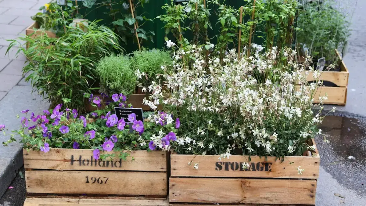 jardin en palettes — Jardin en palettes : monter, remplir et planter sans mauvais bois