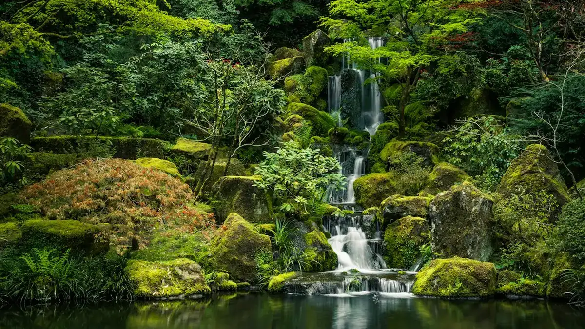 jardin japonais — Jardin japonais : zen ou végétalisé, plantes et entretien