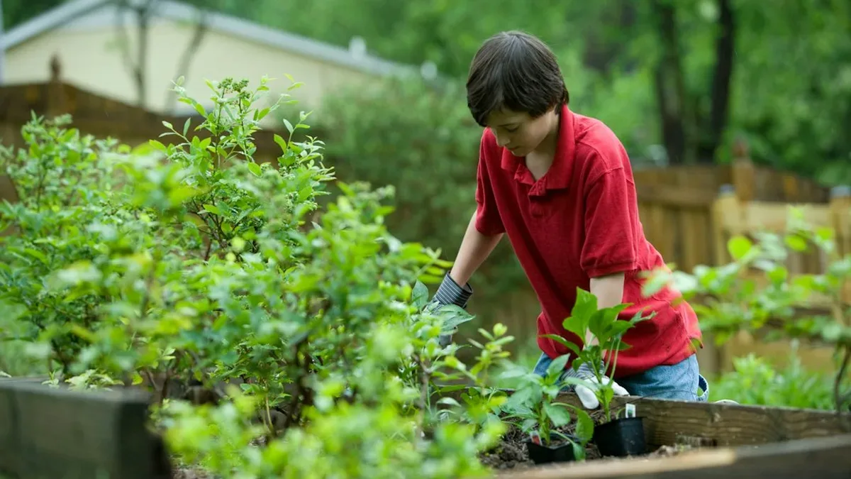 plan carre potager — Plan carré potager : fabriquer bac potager surélevé