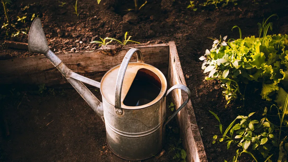 plan jardin potager — Plan jardin potager : exposition, eau, chemins et contenant